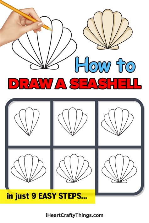 drawing seashells step by step.